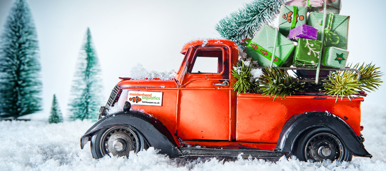 Christmas and New Year Opening Times and Delivery