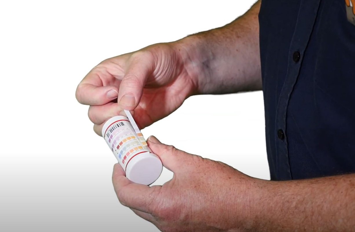 Why test my aquarium or pond water?