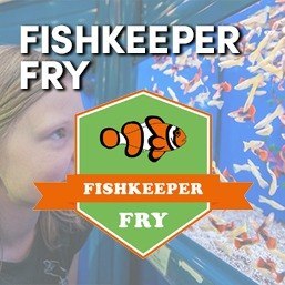 Fishkeeper Fry