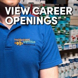 View Career Openings