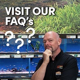 Frequently asked questions