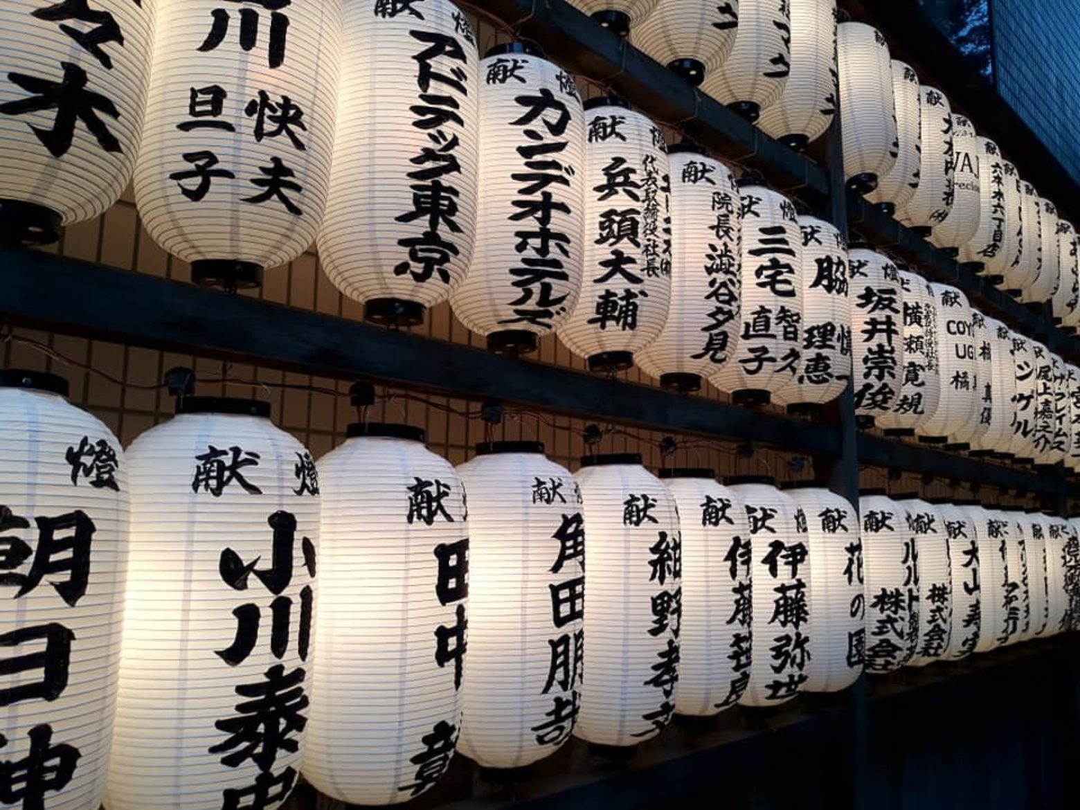 japanese lanterns koi farm