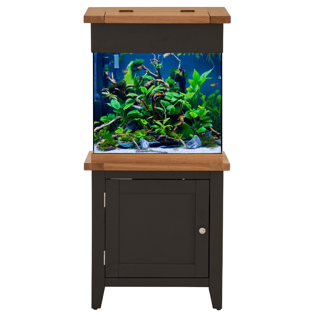 dog groomers at home near me