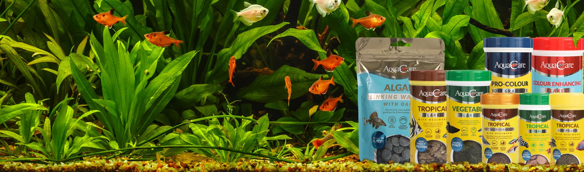 Maidenhead Aquatics The UK's Leading Aquatics Retailer