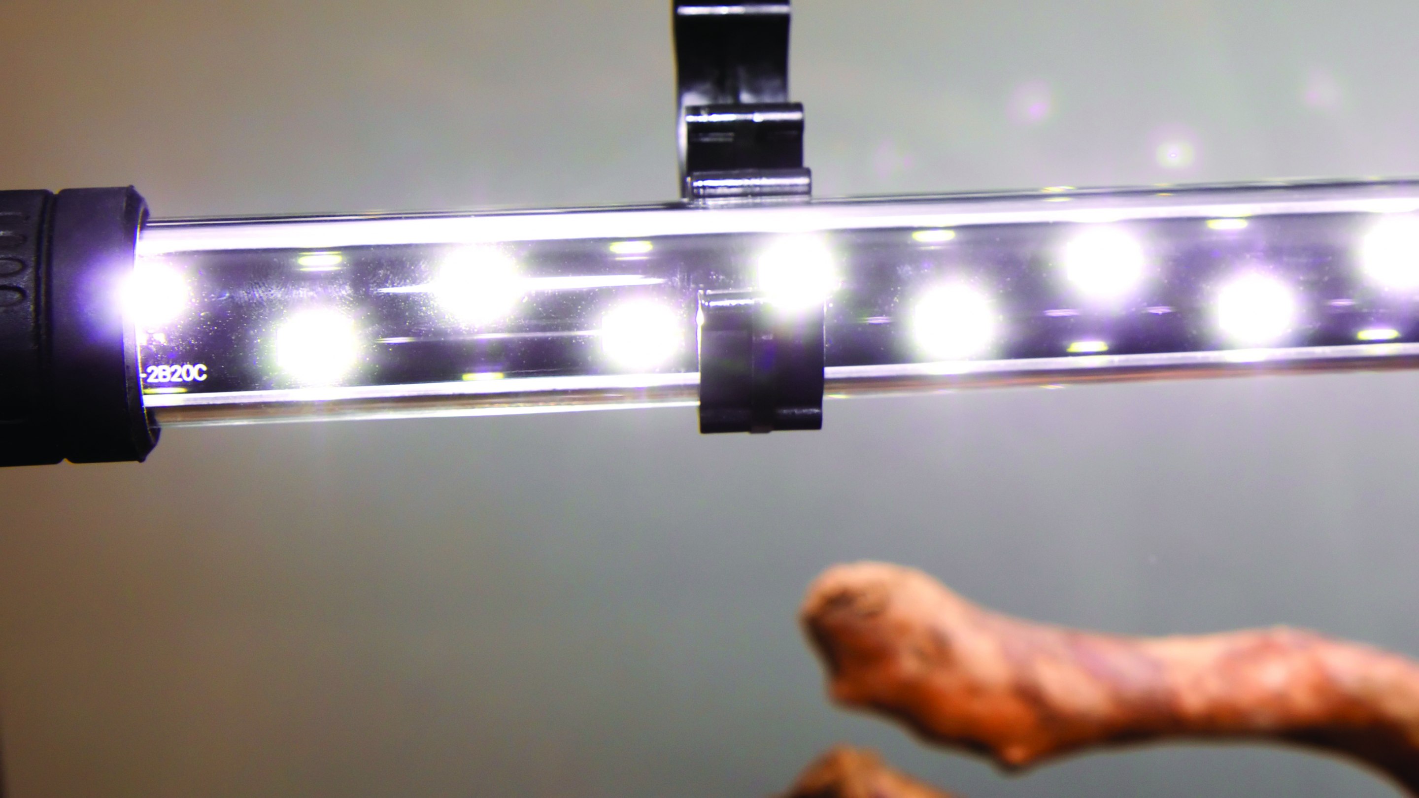 Your guide to Aquarium Lighting