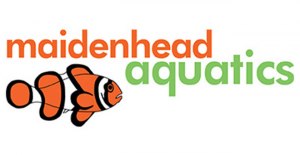 Maidenhead Aquatics