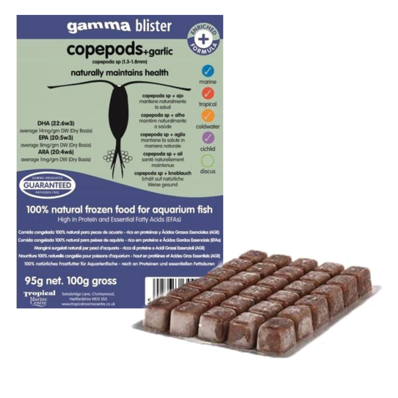 TMC Frozen Copepods Fish Foods with Garlic