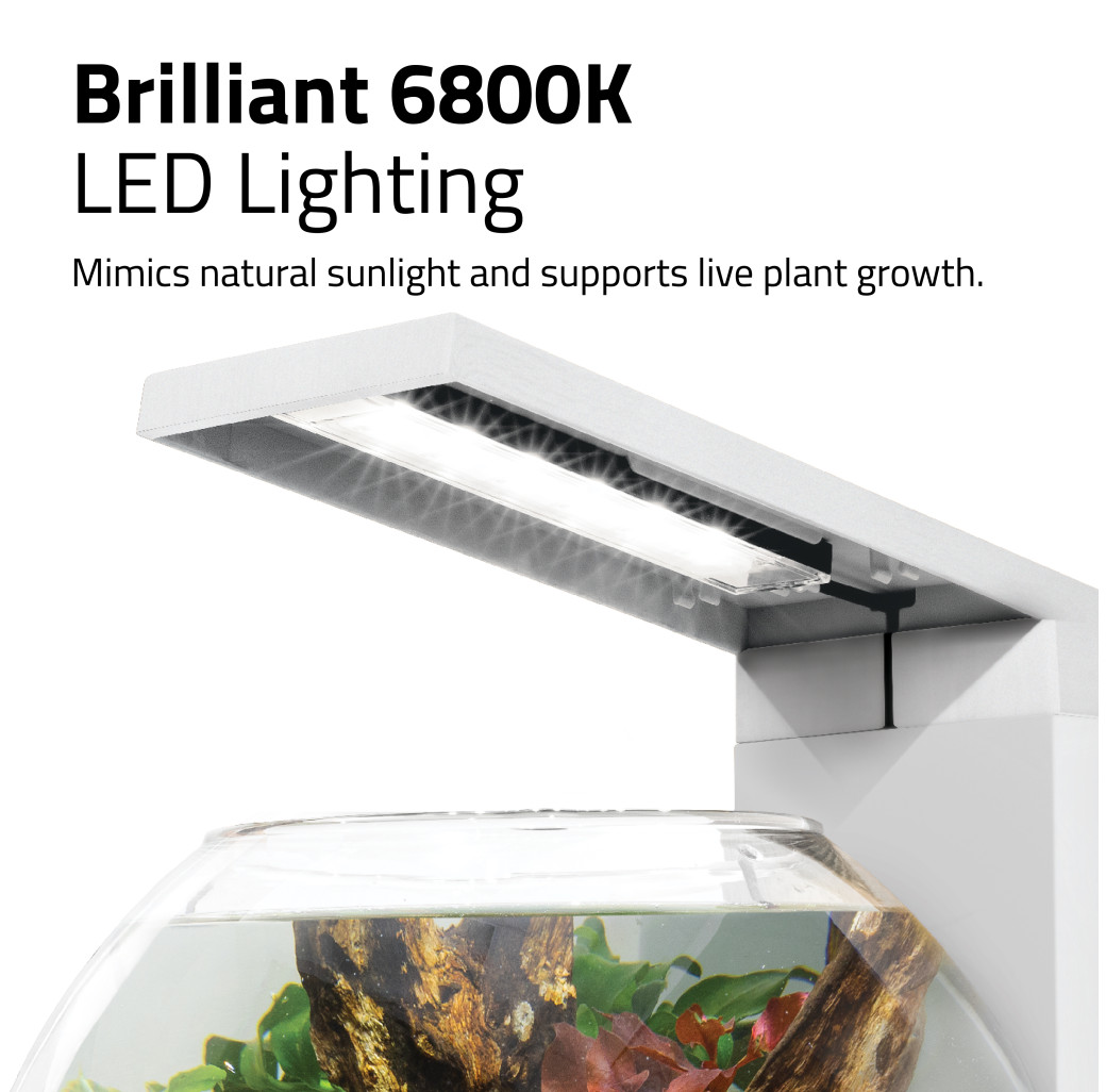 Fluval Liv Microscaping Aquarium 6L