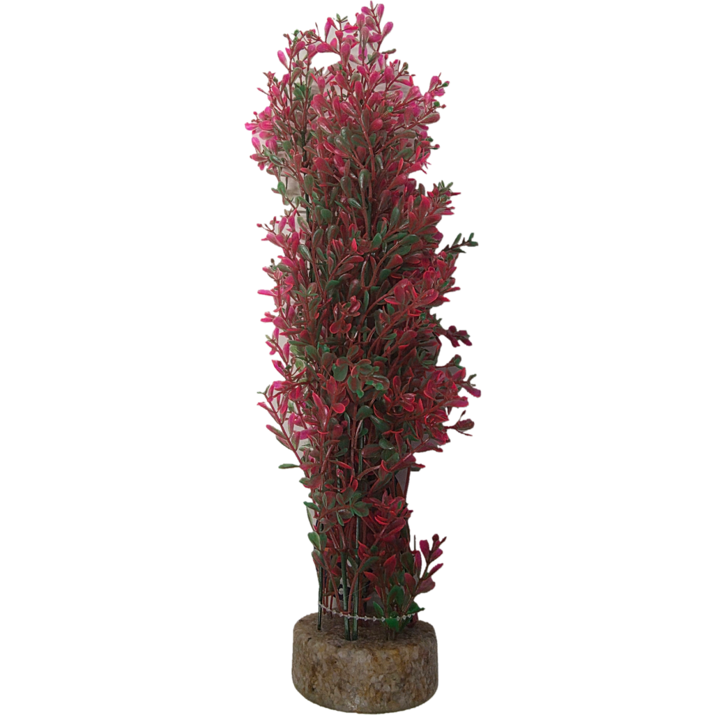 Fishkeeper Hedge Plant - Red, Green & Pink - 7cm x 7cm x 37cm
