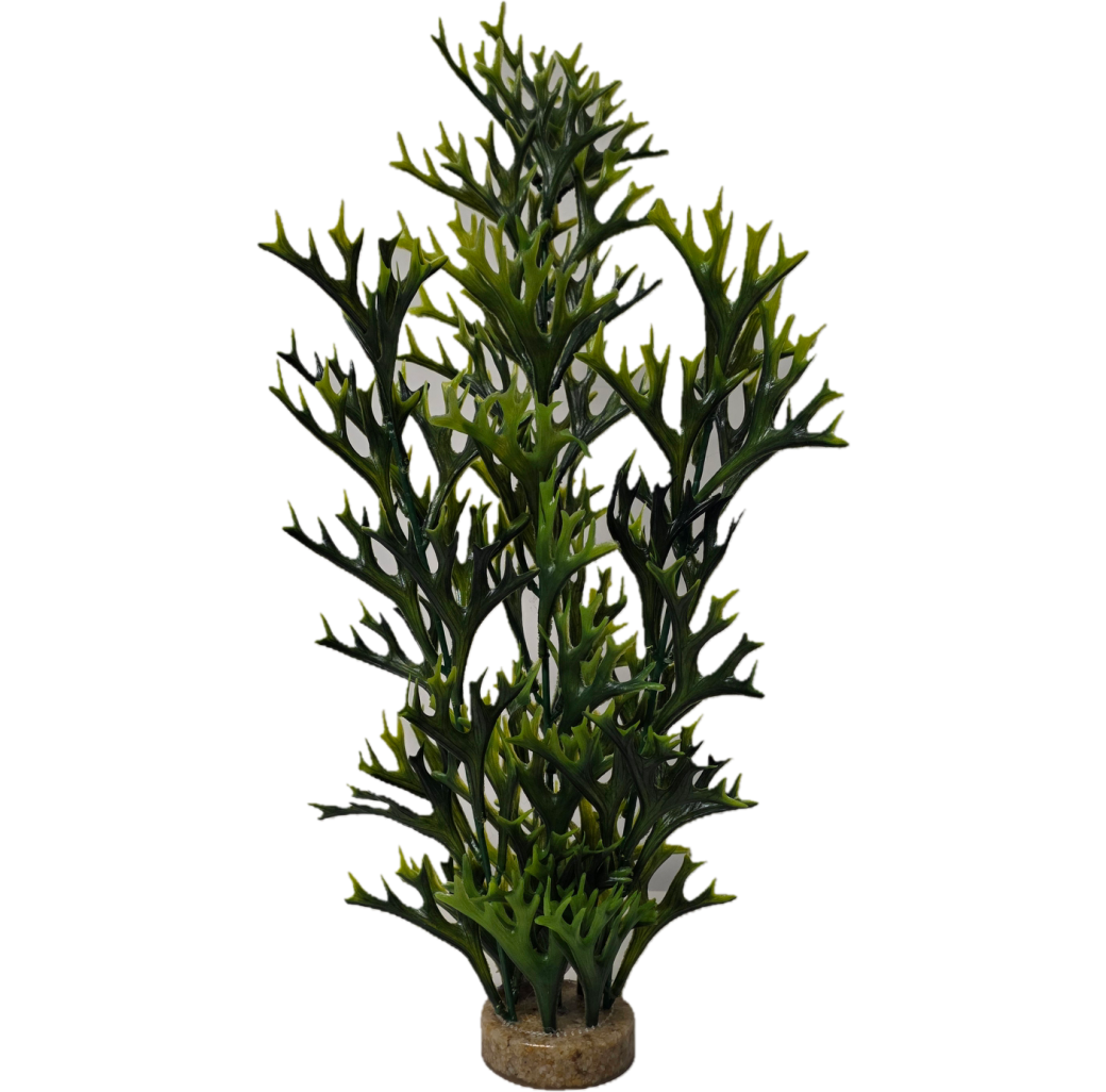 Fishkeeper Tall Water Fern Plant - Green - 8cm x 8cm x 57cm