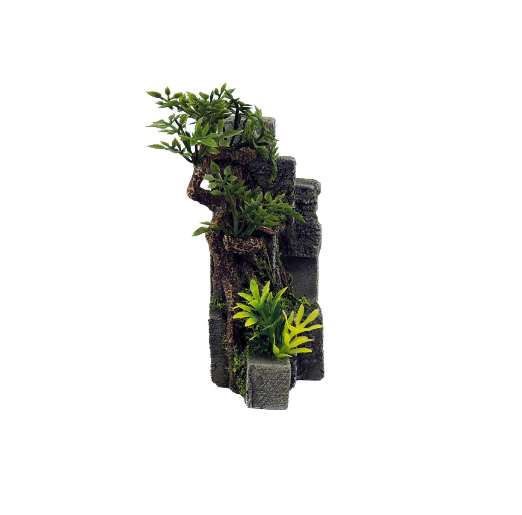 Classic Ornament - Cube Concrete Swim through with plants