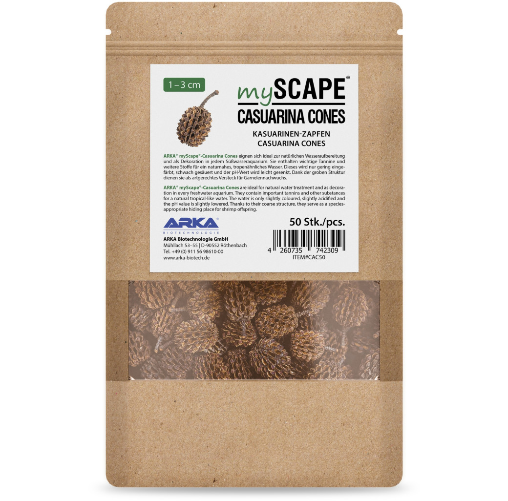 Arka MyScape Casuarina Cones