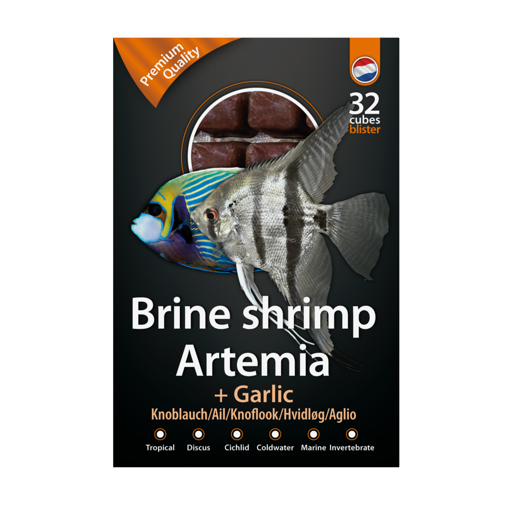 Dutch Select Frozen Fish Food - Brineshrimp and Garlic