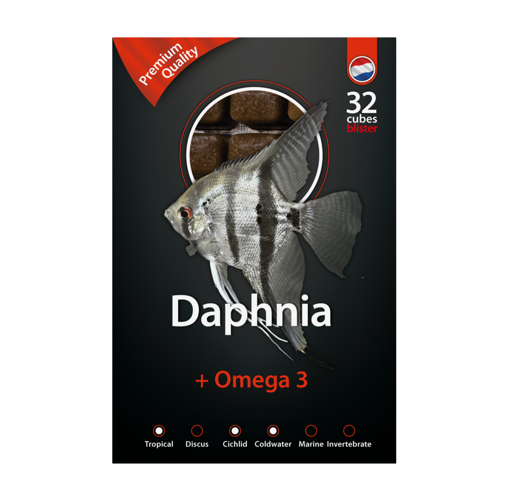 Dutch Select Frozen Fish Food - Daphnia