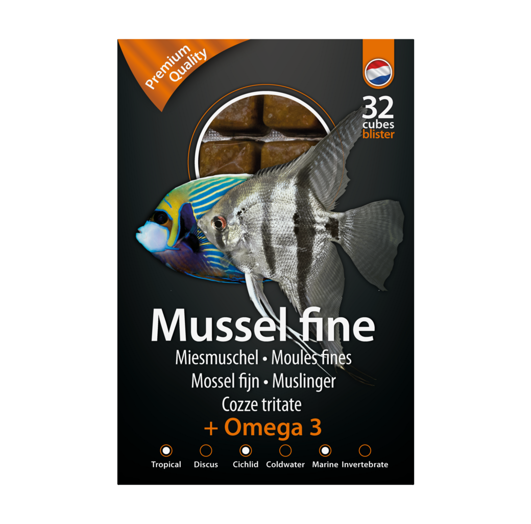 Dutch Select Frozen Fish Food - Mussel Fine
