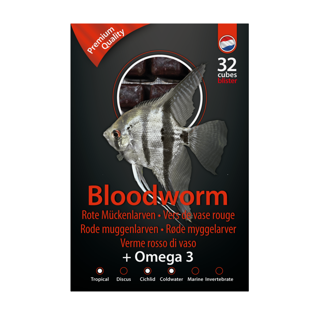 Dutch Select Frozen Fish Food - Bloodworm