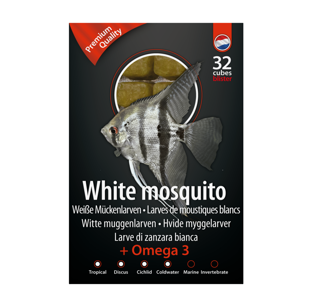 Dutch Select Frozen Fish Food - White Mosquito