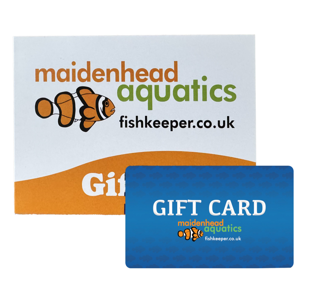 Gift Card with Voucher Sleeve