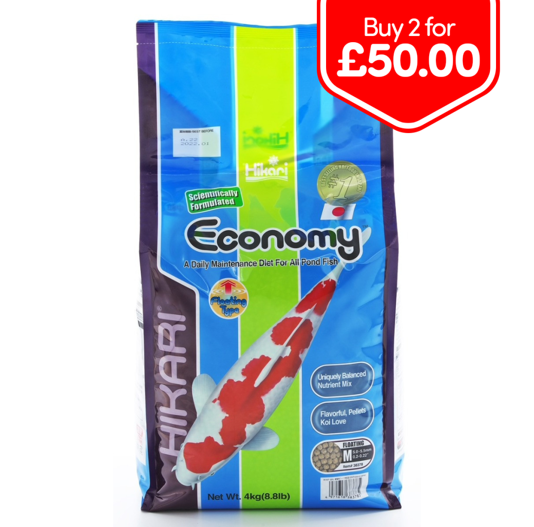 Hikari Economy Medium Pellet 4kg Koi Fish Pond Food