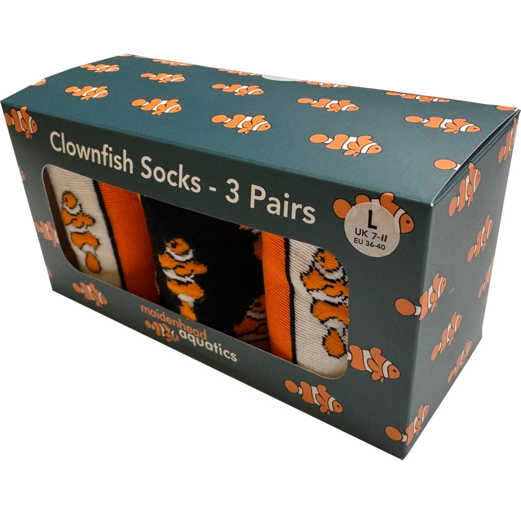 Clownfish Logo Socks - Gift Box