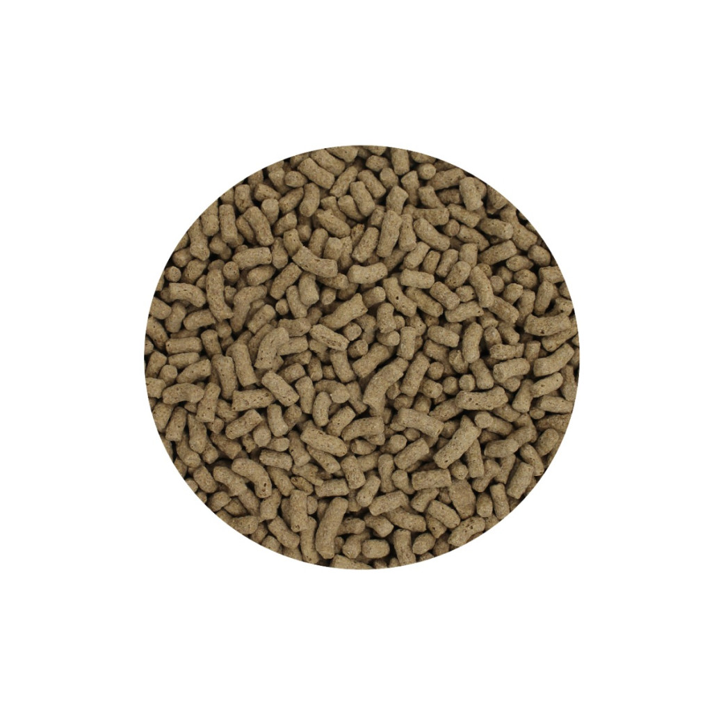 Fishkeeper Pond Stick 3L - Buy One Get One Free