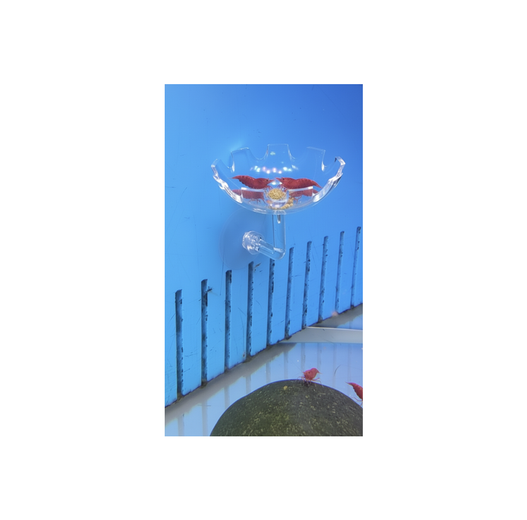 Superfish Feeding Plate