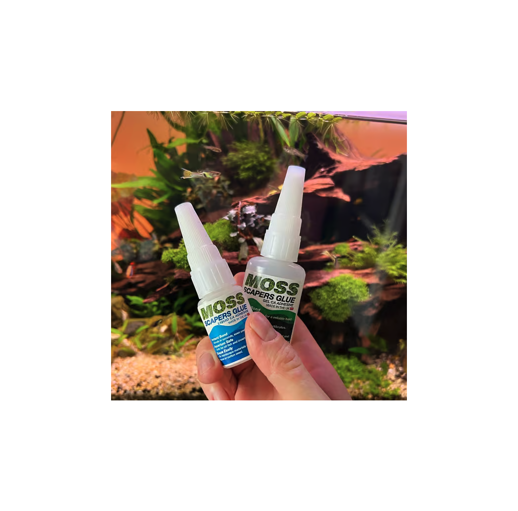 Moss Hardscape Liquid Glue and Precision Tips