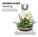 Fluval Liv Microscaping Aquarium 6L