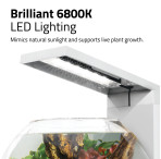 Fluval Liv Microscaping Aquarium 6L