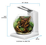 Fluval Liv Microscaping Aquarium 6L