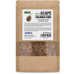 Arka MyScape Casuarina Cones