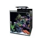 Blue Marine Reef 60 Aquarium