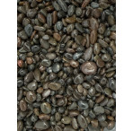 Fishkeeper - Black Pea Gravel