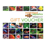 Gift Card with Voucher Sleeve