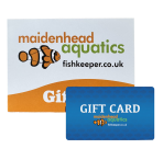 Gift Card with Voucher Sleeve