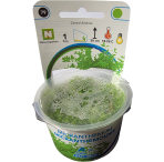 AquaFleur Tropical Aquarium Plants-Micranthemum Micranthemoides