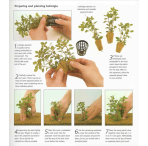 Tropical Aquarium Plant Pack - Simple 