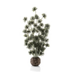 BiOrb Bonsai Ball - Black