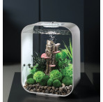 BiOrb Bonsai Ball - Black