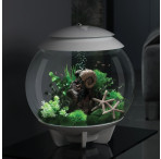 BiOrb Bonsai Ball - Black