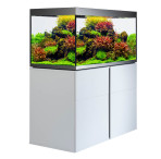 Fluval Siena 270 Aquarium & Cabinet Set - White with Free Bundle