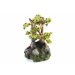 Bonsai on Rocks, aquarium ornaments.