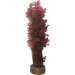 Fishkeeper Hedge Plant - Red, Green & Pink - 7cm x 7cm x 37cm