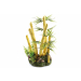 Bamboo, aquarium ornament.