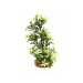 Classic Artificial Plant - Leaf Plant White/Dark Green