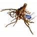 Aquarium wood - Spider Wood Large