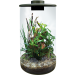 Bio Art Terrarium Black Cylinder