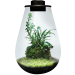 Bio Art Terrarium Black Drop