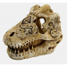 Superfish - Skull T-Rex (Small)