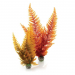 Autumn fern, aquarium ornaments.